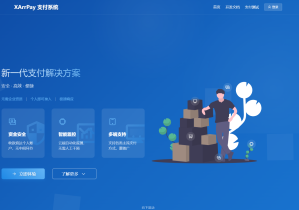 码支付-正版授权-在线授权