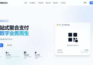 码支付-正版授权-在线授权