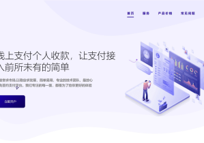 码支付-官方网站-在线授权